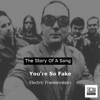 you are so fake song